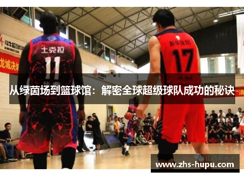从绿茵场到篮球馆:解密全球超级球队成功的秘诀 从绿茵场到篮球馆:解密全球超级球队成功的秘诀