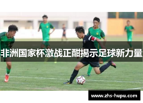 非洲国家杯激战正酣揭示足球新力量 非洲国家杯激战正酣揭示足球新力量