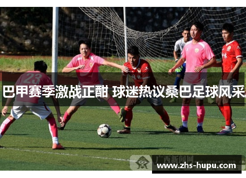 巴甲赛季激战正酣 球迷热议桑巴足球风采